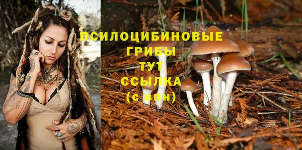 apvp Арсеньев