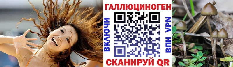 Псилоцибиновые грибы ЛСД  купить   Новохопёрск 
